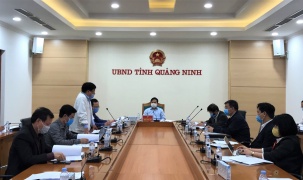  Quảng Ninh: Công ty CP Tập đoàn TH đề xuất phương án đầu tư nông nghiệp ứng dụng công nghệ cao