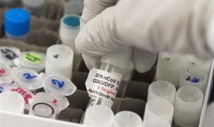 Mỹ: Nghiên cứu vaccine phòng virus SARS-CoV-2 trên chuột cho kết quả khả quan
