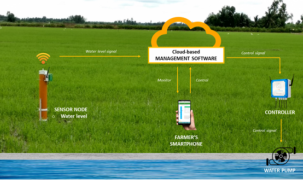 Hệ thống IoT giúp nông dân tiết kiệm nước tưới lên tới 20%