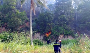 Quảng Ninh: Ứng dụng công nghệ trong phát hiện sớm các điểm cháy rừng