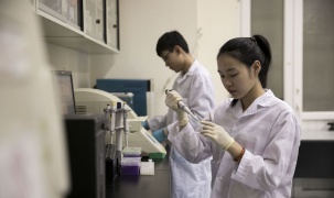 Ra mắt hệ thống xếp hạng đại học do Việt Nam phát triển