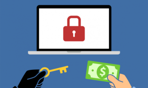 Tấn công ransomware ở Việt Nam giảm nhưng vẫn ở mức cao