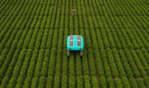  Robot nông nghiệp do Google phát triển