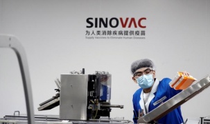 Vaccine Covid-19 của Sinovac tạo phản ứng miễn dịch nhanh chóng