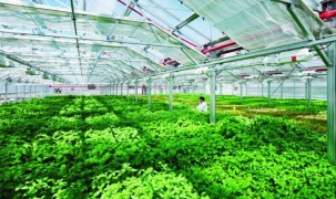 Thành lập Khu nông nghiệp ứng dụng công nghệ cao Thái Nguyên