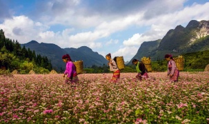 Hà Giang: Phát triển du dịch thông qua chuyển đổi số, du lịch thông minh