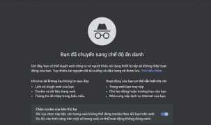 Google bị kiện vì thu thập dữ liệu khi người dùng đã để chế độ ẩn danh