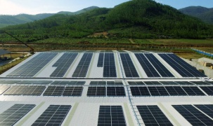 Năng lượng mặt trời được triển khai trên toàn bộ hệ thống trang trại Vinamilk