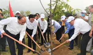 Toyota Việt Nam đồng hành cùng Bộ TN&MT trong Lễ phát động Tết trồng cây “Đời đời nhớ ơn Bác Hồ” xuân Tân Sửu 2021