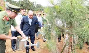 Chủ tịch nước Nguyễn Xuân Phúc dự Lễ phát động trồng cây tại Khu di tích lịch sử K9