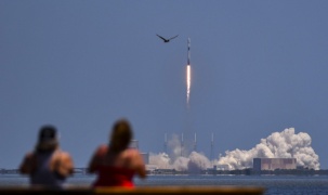 SpaceX giành được hợp đồng phát triển tàu vũ trụ đưa người lên mặt trăng của NASA