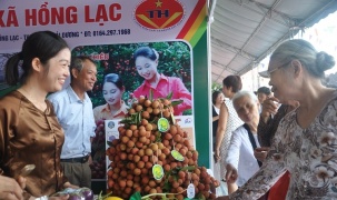 Đưa vải thiều Hải Dương lên 4 sàn thương mại điện tử lớn