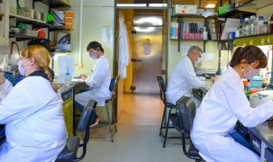Các nhà khoa học Argentina nghiên cứu vaccine COVID-19 thế hệ 2
