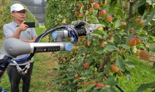 Robot thu hoạch táo, 7 giây hái được một trái