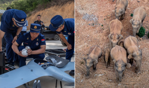 Trung Quốc triển khai 14 máy bay không người lái và hơn 500 người để đối phó đàn voi vào làng