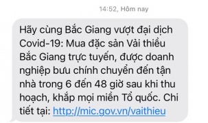Các nhà mạng gửi tin nhắn kêu gọi người dân mua online vải thiều Bắc Giang
