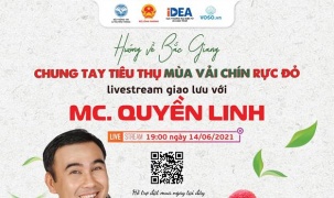 MC Quyền Linh livestream hỗ trợ tiêu thụ vải Bắc Giang qua sàn thương mại điện tử
