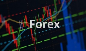 Vì sao hàng nghìn người mất tiền khi đầu tư vào sàn Forex?