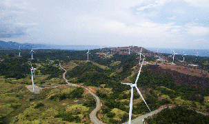 Làm trang trại điện gió trên đất liền lớn nhất Việt Nam, Quảng Bình thu hồi gần 8ha đất rừng