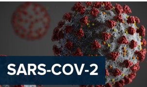 Nga khuyến cáo có thể xuất hiện siêu biến chủng corona virus mới