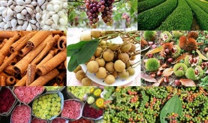 Ra mắt trang kết nối cung cầu nông sản và hàng hóa các tỉnh phía Nam