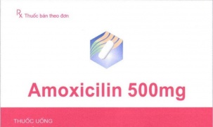Hà Nội: Thông báo tạm dừng phân phối và sử dụng thuốc Amoxicillin 500mg