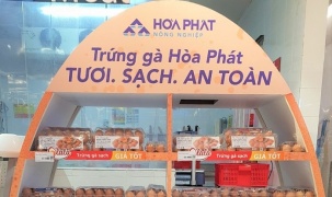 Trứng gà Hòa Phát (HPG) phủ sóng hệ thống Vinmart và hầu hết các siêu thị tại Hà Nội