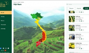 Bản đồ trái cây Việt Nam được thể hiện trên nền tảng thương mại điện tử