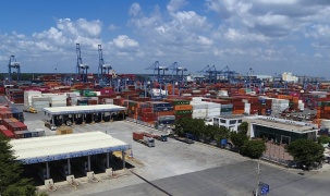 Cảng TCIT áp dụng e-Port với 100% khách hàng hạ container rỗng từ 15/9