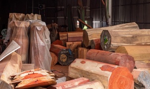 Ra mắt Nền tảng đào tạo trực tuyến về trách nhiệm giải trình trong nhập khẩu gỗ tại Việt Nam