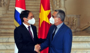 Việt Nam thúc đẩy hợp tác trên nhiều lĩnh vực với các nước
