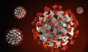 Lập bản đồ đột biến của virus SARS-CoV-2 để vạch trần điểm yếu và cách lợi dụng chúng