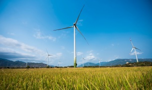 Sẽ xem xét gia hạn giá FIT cho dự án điện gió chậm tiến độ