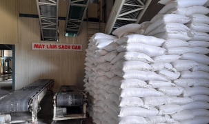 Doanh nghiệp Cần Thơ trúng thầu xuất khẩu 15.000 tấn gạo sang thị trường Hàn Quốc với giá tốt