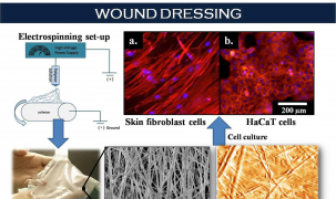 Nhà khoa học Trung Quốc sản xuất băng vải y tế từ tơ nhện nhân tạo
