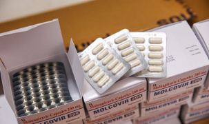 Xem xét cấp số đăng ký 4 loại thuốc có hoạt chất Molnupiravir điều trị F0