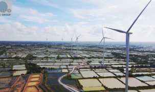 Dự án điện gió “ngắc ngoải” vì Covid-19, doanh nghiệp kêu cứu