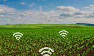 Ưu điểm của việc ứng dụng Internet vạn vật trong nông nghiệp thông minh