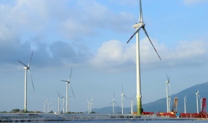 Thủ tướng yêu cầu kiểm tra ngay phản ánh về việc nhà đầu tư điện gió kêu cứu