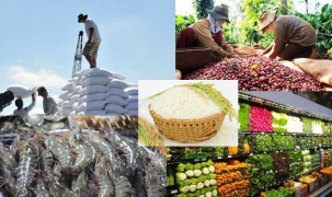 Tích cực triển khai ứng dụng số - giải pháp hiệu quả hỗ trợ tiêu thụ nông sản