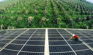 Nghiên cứu và xây dựng mô hình thí điểm điện mặt trời kết hợp nông nghiệp