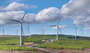 Thủ tướng Chính phủ chỉ đạo về dự án điện gió Nhơn Hội