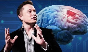 Elon Musk có thể đã sao chép bộ não của mình