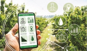 Ứng dụng công nghệ dự báo thị trường nông sản