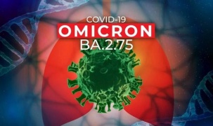 Nước ta đứng trước nguy cơ xâm nhập của biến thể phụ BA.2.75 của Omicron có thực sự đáng lo ngại?