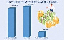 Tình hình giải ngân vốn NSNN 8 tháng đầu năm 2022