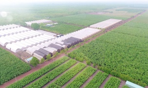Quảng Ninh: Phê duyệt thêm khu nông nghiệp công nghệ cao 106 ha