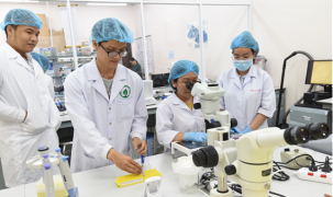 Việt Nam có ba nhà khoa học đoạt giải thưởng khoa học sáng tạo quốc tế