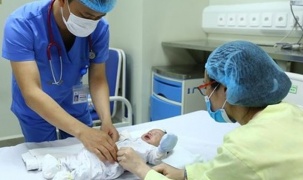 Ghi nhận 3 trẻ sơ sinh mắc sốt xuất huyết hiếm gặp tại Việt Nam