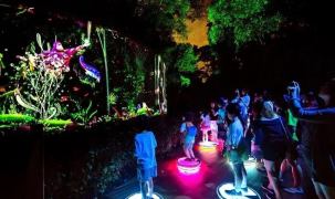 Triển khai dự án Công viên ánh sáng thực tế ảo đầu tiên tại Việt Nam 
